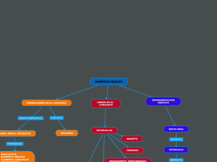 NÚMEROS REALES Mind Map